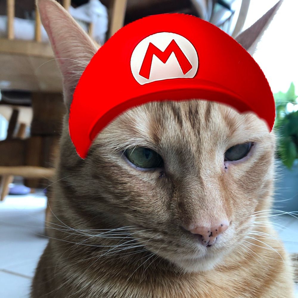 blue jays mario