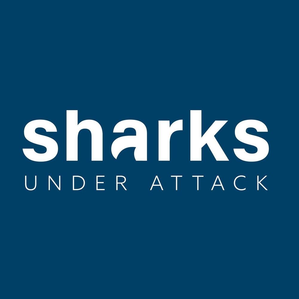 Sharks Under Attack