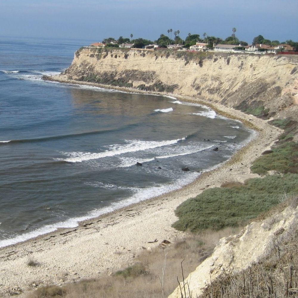 Palos Verdes Chat