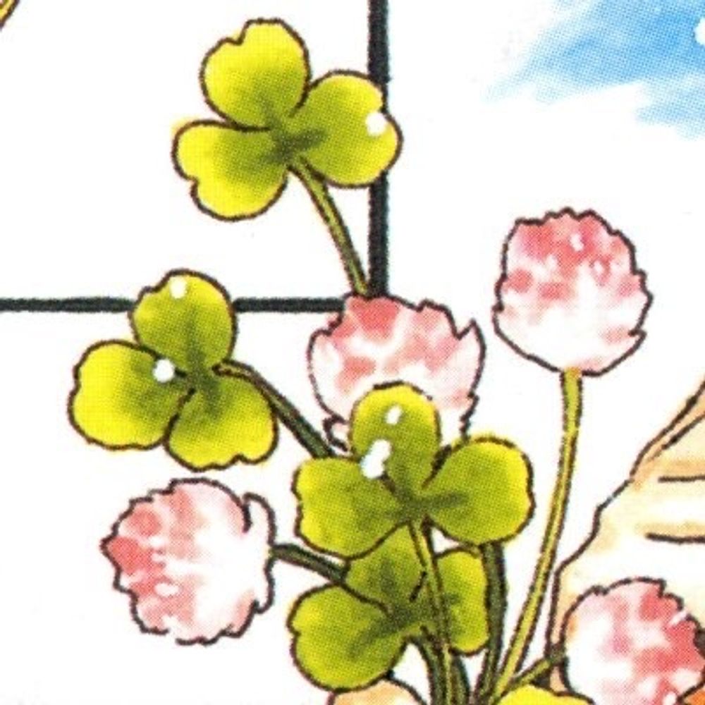 삼색무새/피안
