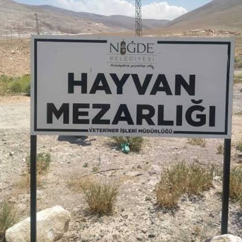 Tarihçi Balık