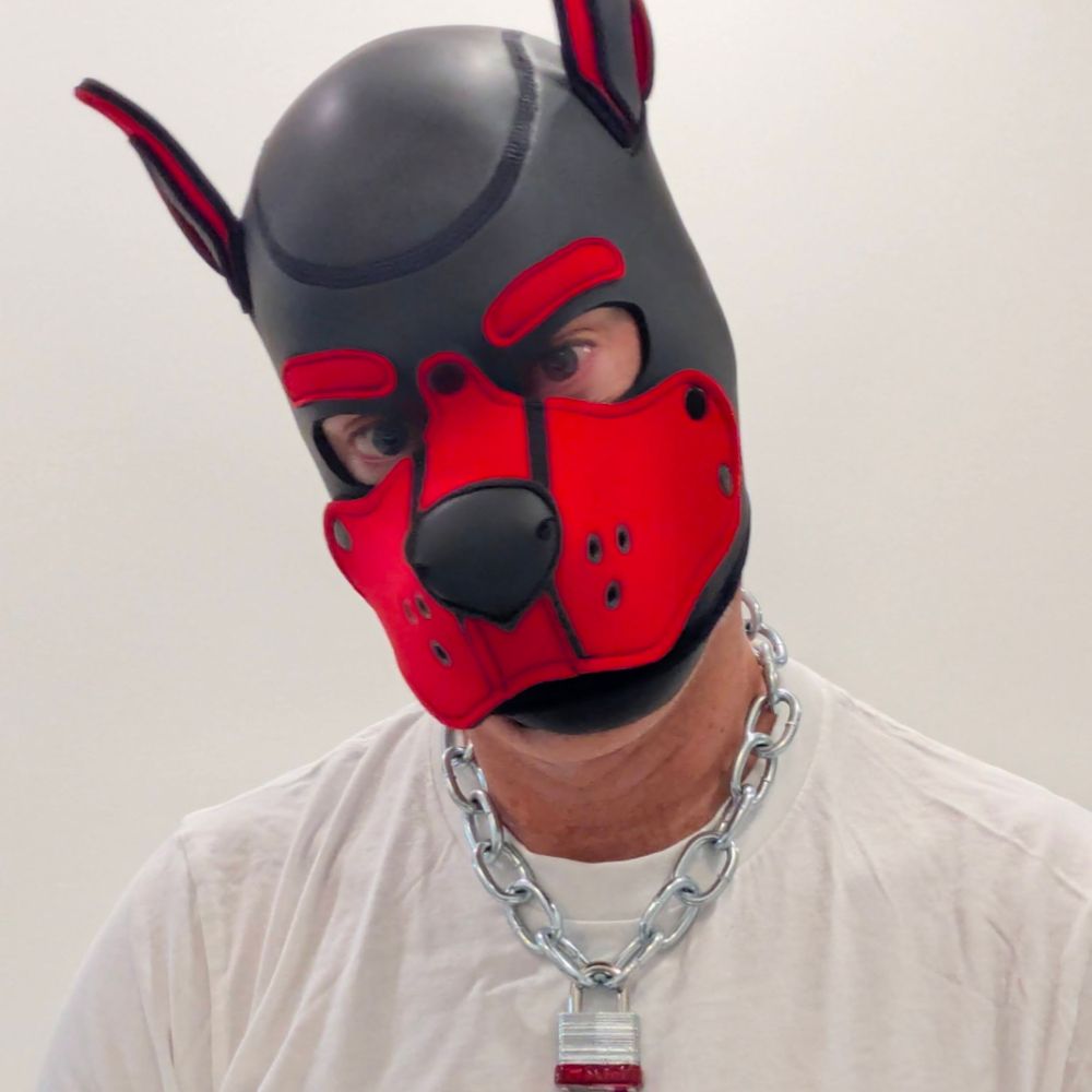 PupTurbo