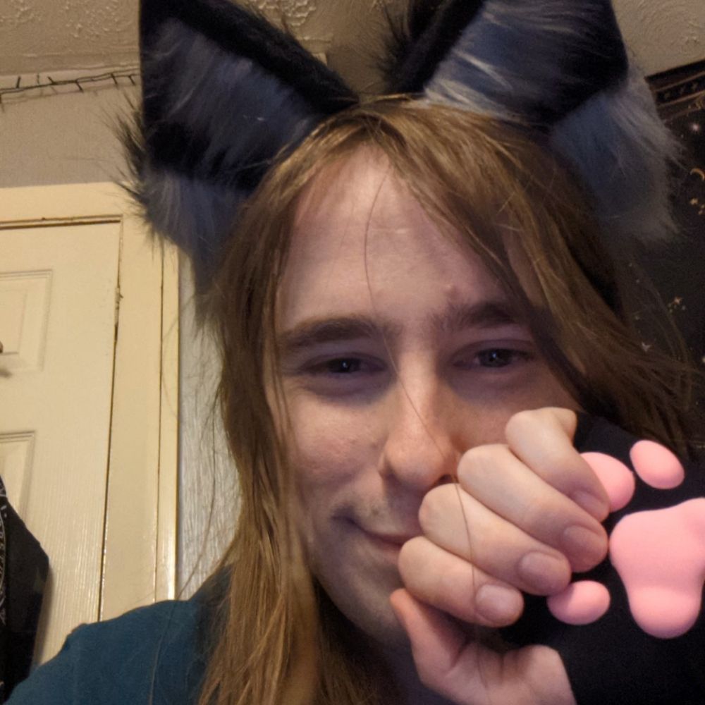 Silly Kitty Alice