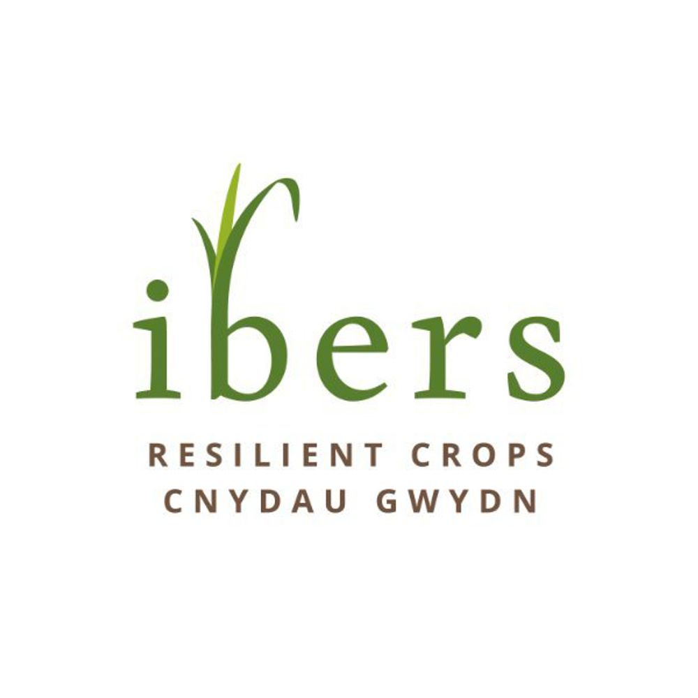 IBERS - Institute of Biological, Environmental and Rural Science