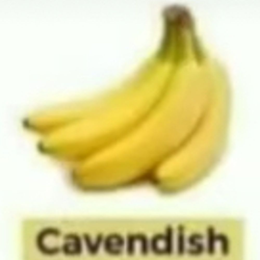 Potassium 