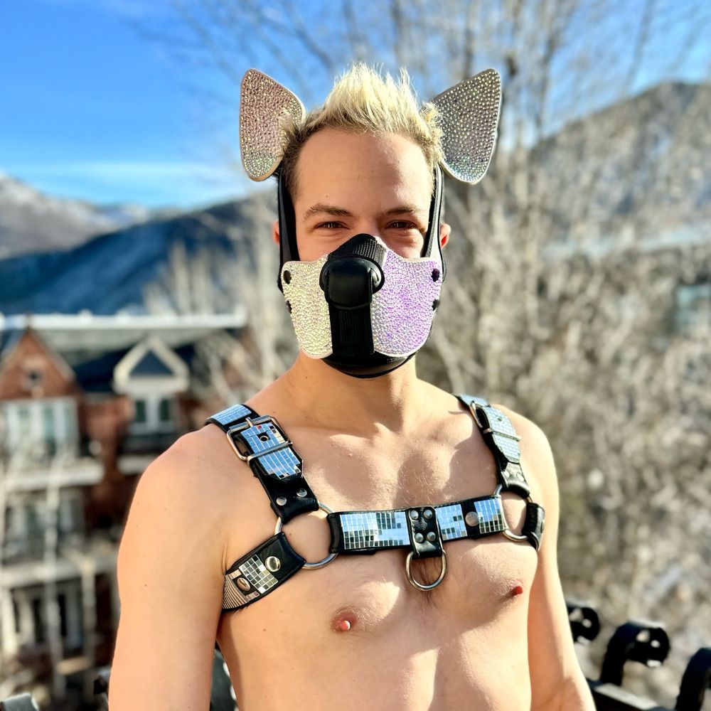 Pup Disco