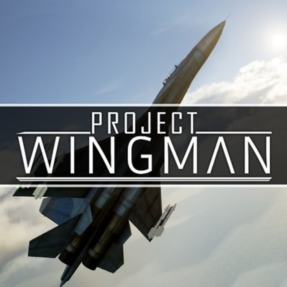 RB-D2 | Project Wingman 