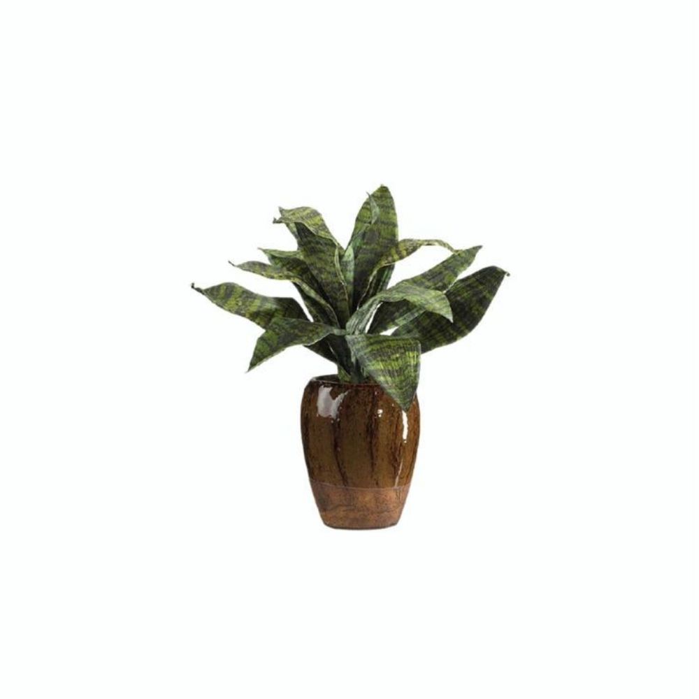 Adam 🌿
