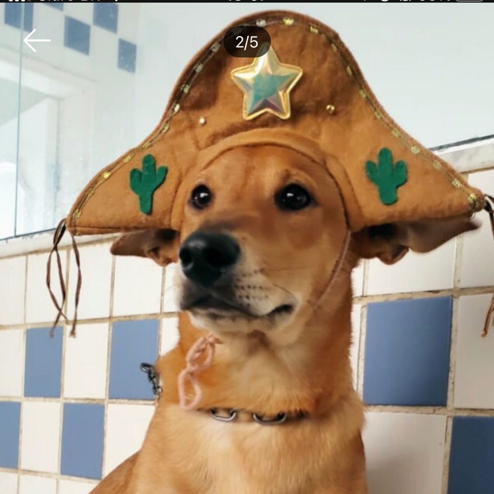 Sâmi
