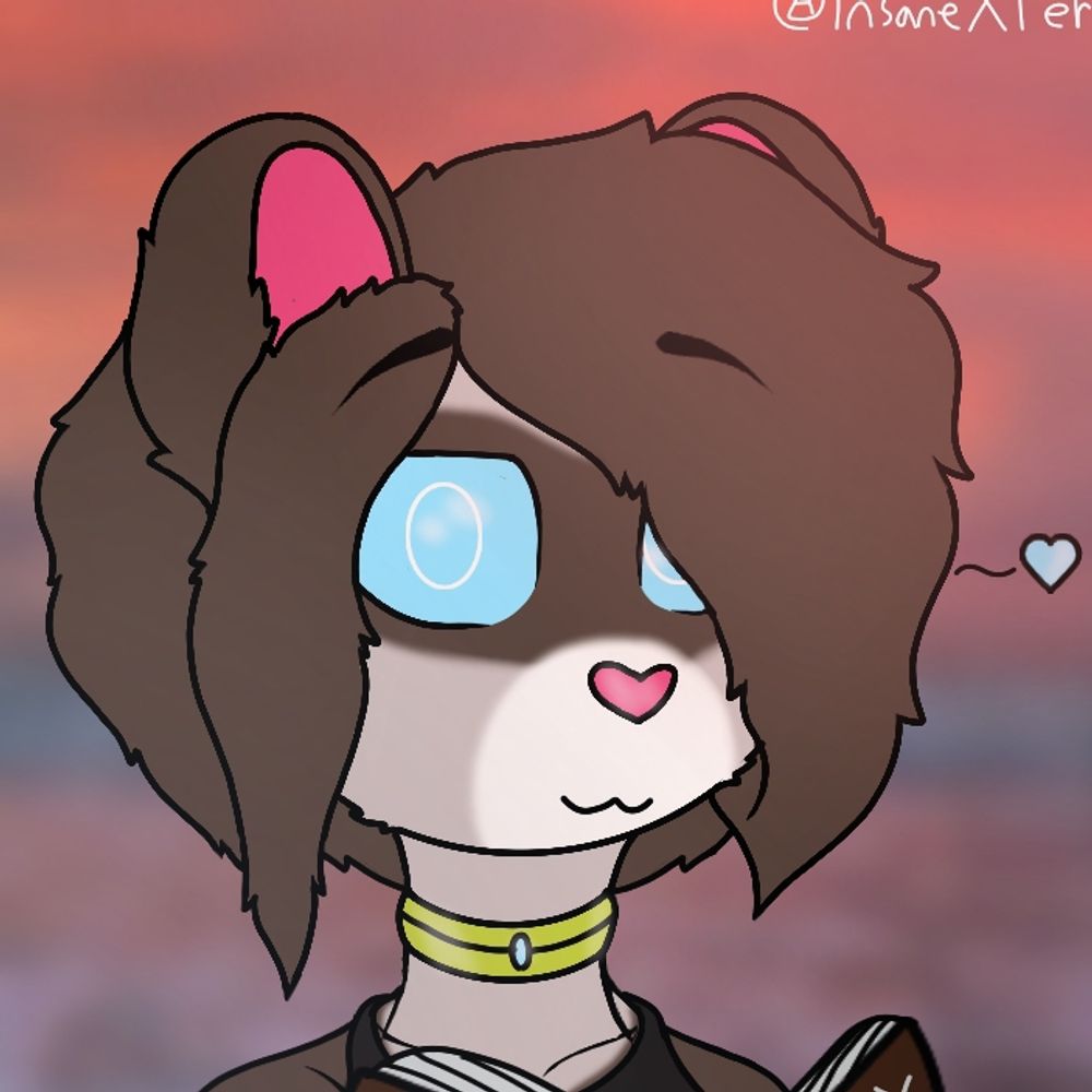 InsaneXferret