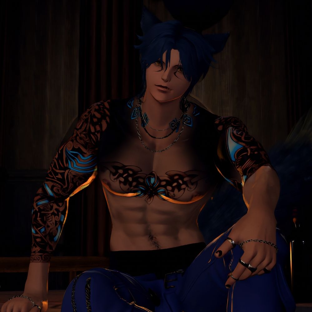Youre Cat for Fun