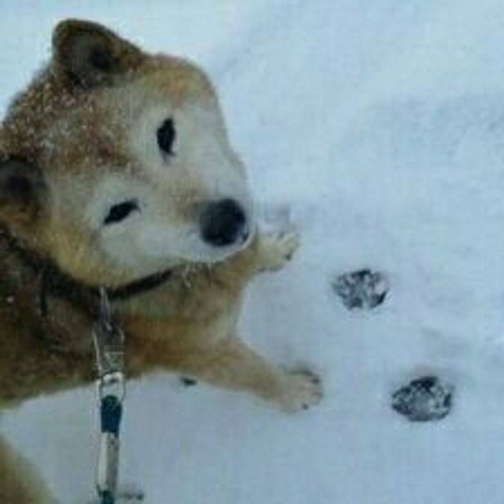 みんみん