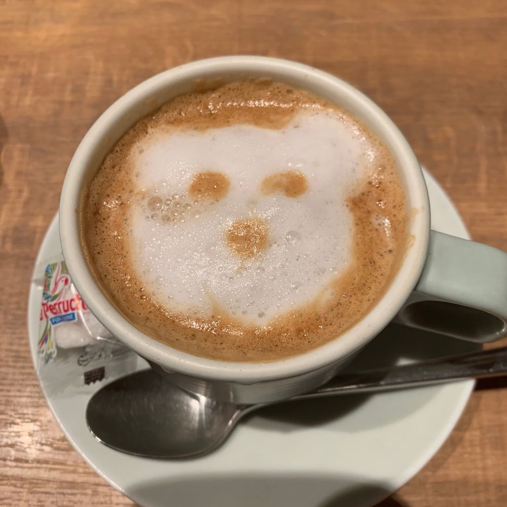 かいひと