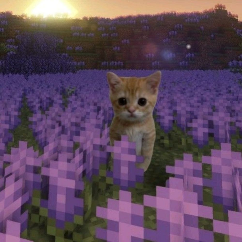 (futura priv da Skay)