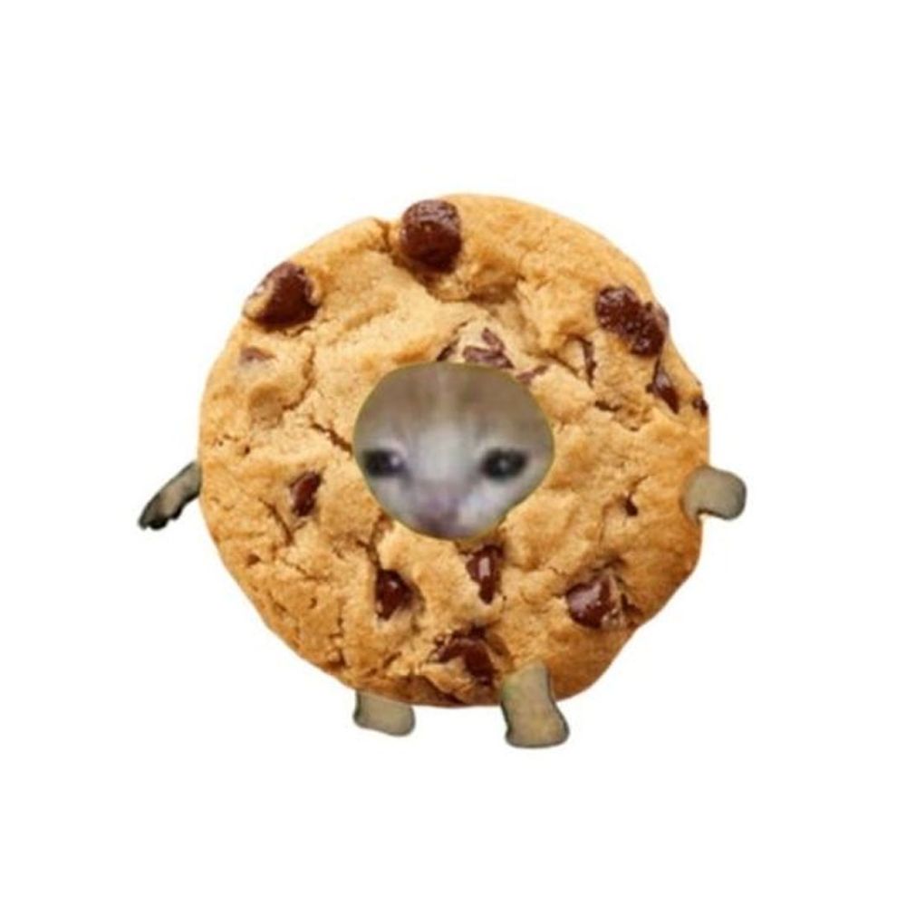 짜와와