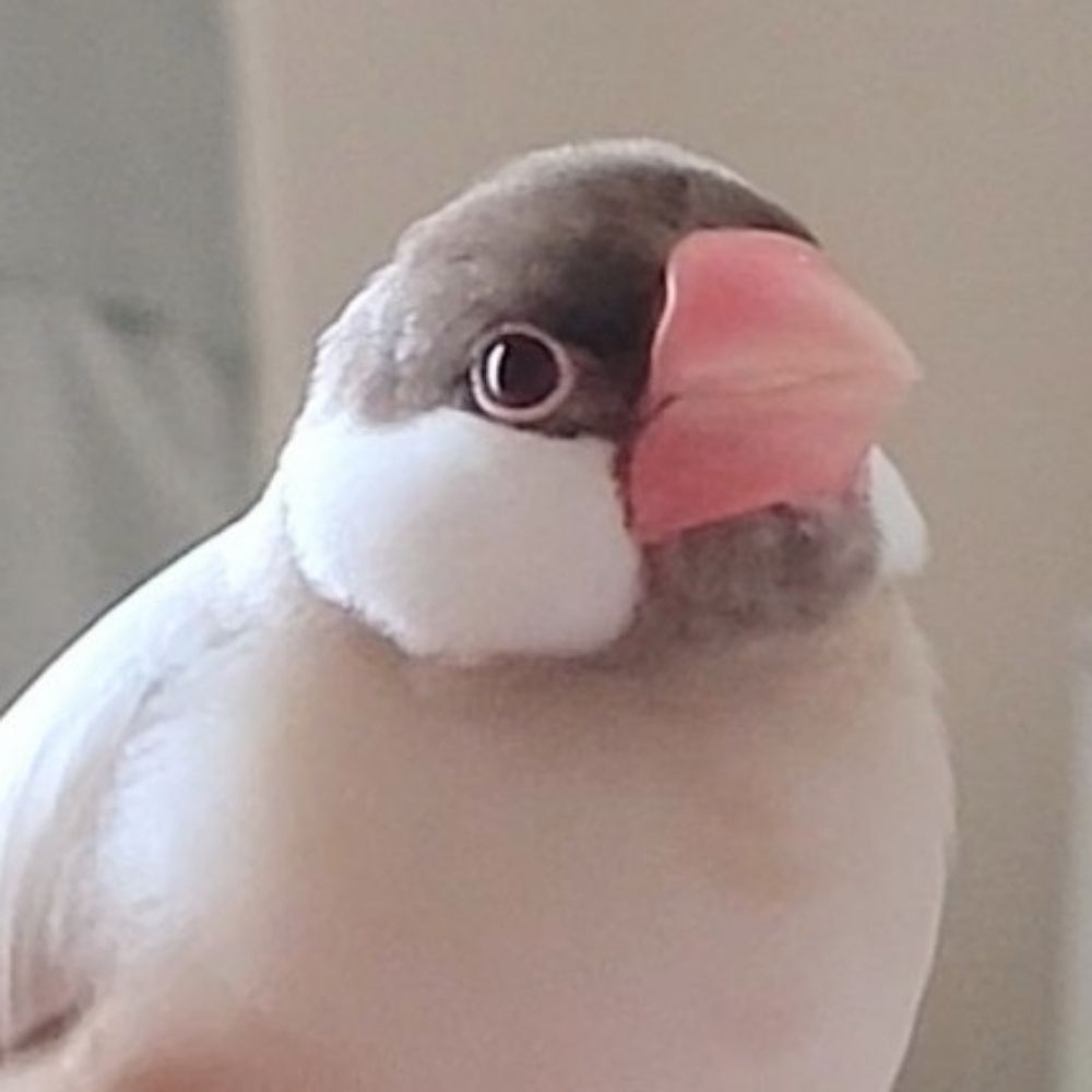 ㋶