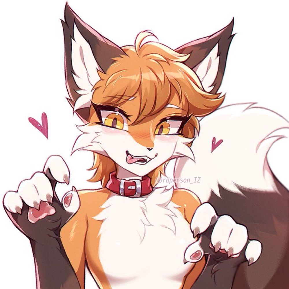 silly fox-cat