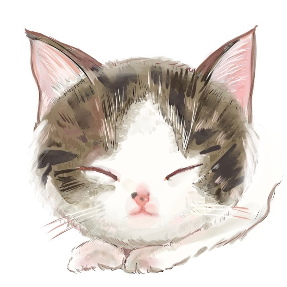 ましゅうり