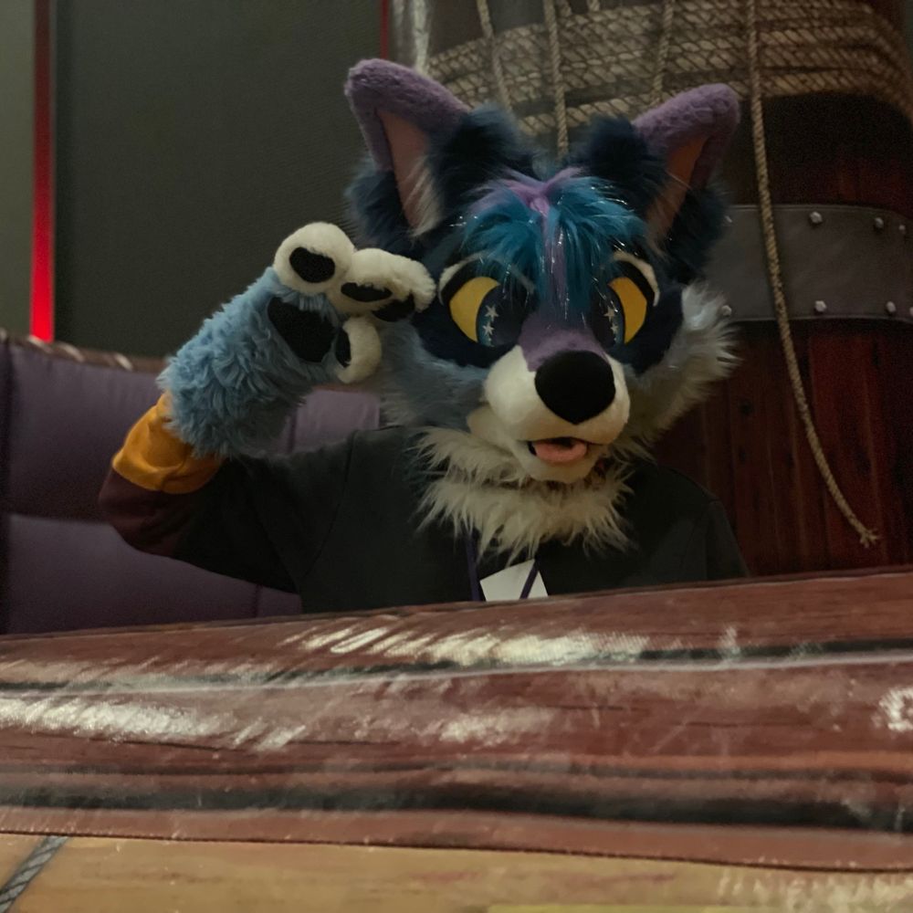 Starry ⭐️ Yote 