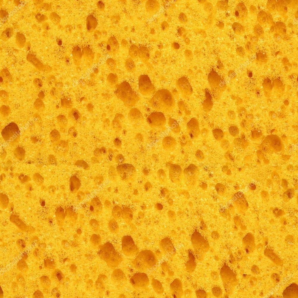 sponge