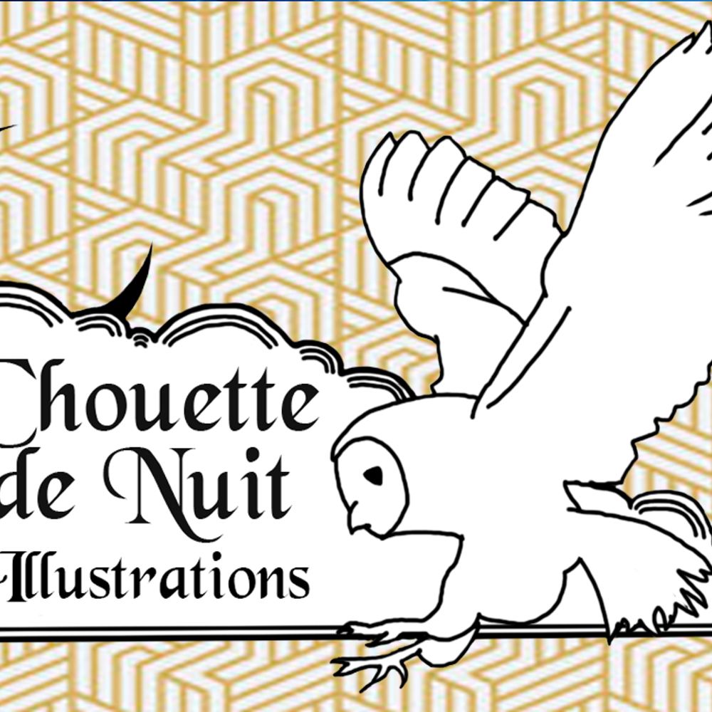 Chouette de Nuit Illustrations