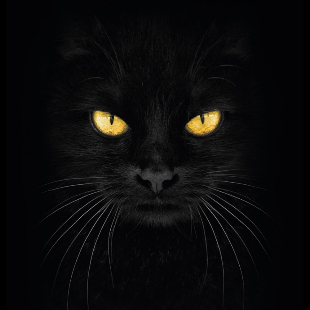 Black_Sparkle
