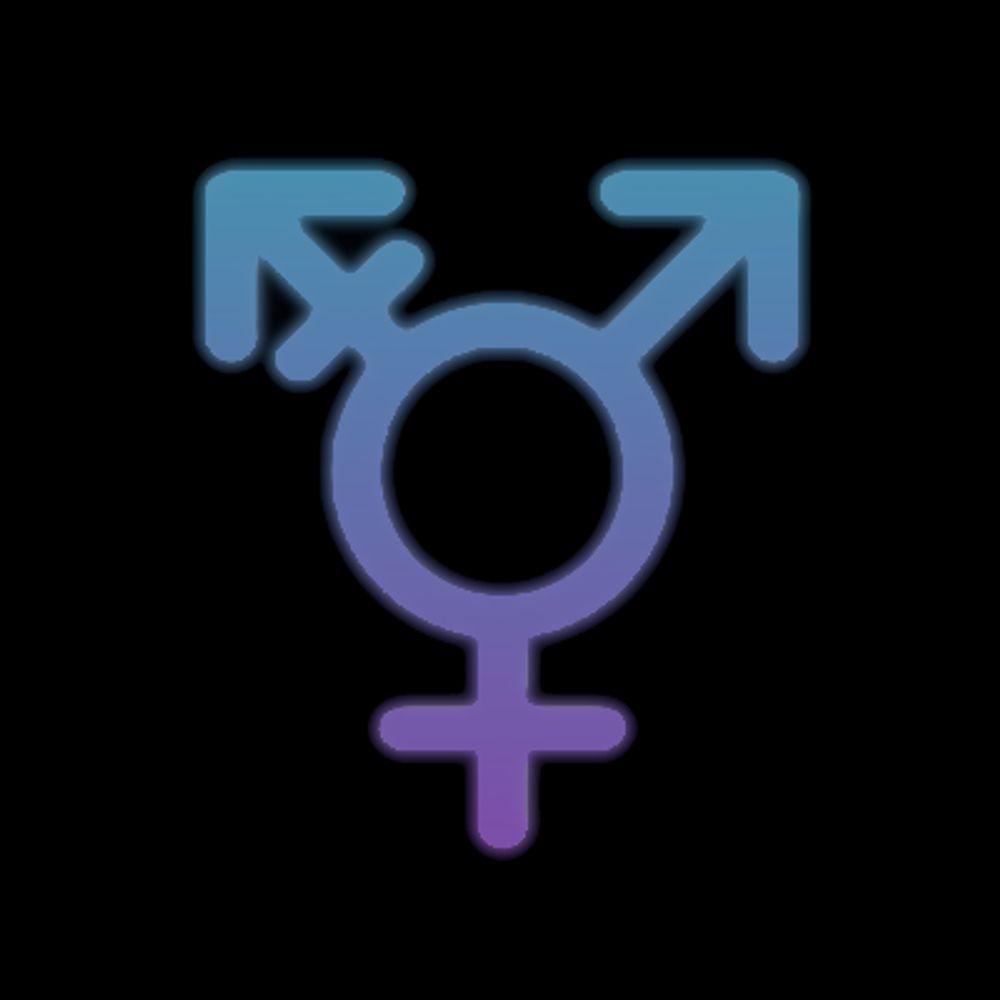 News feeds via trans.report