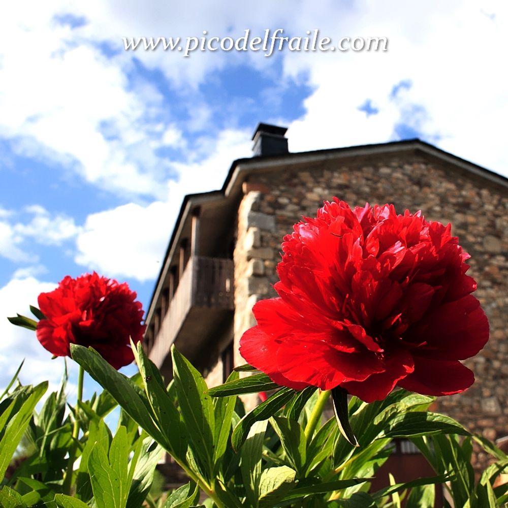 Casa Rural Hospedería El Pico del Fraile