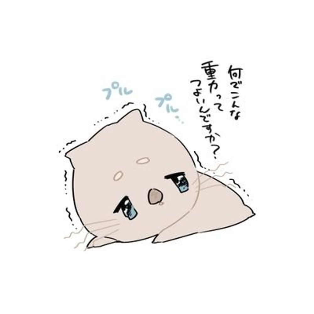 まろまゆ