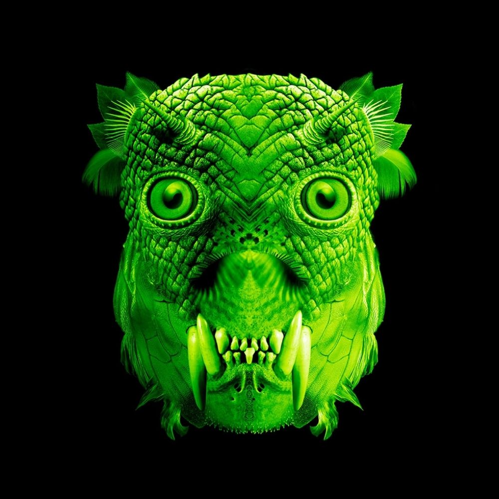 GREENTAXONOMY