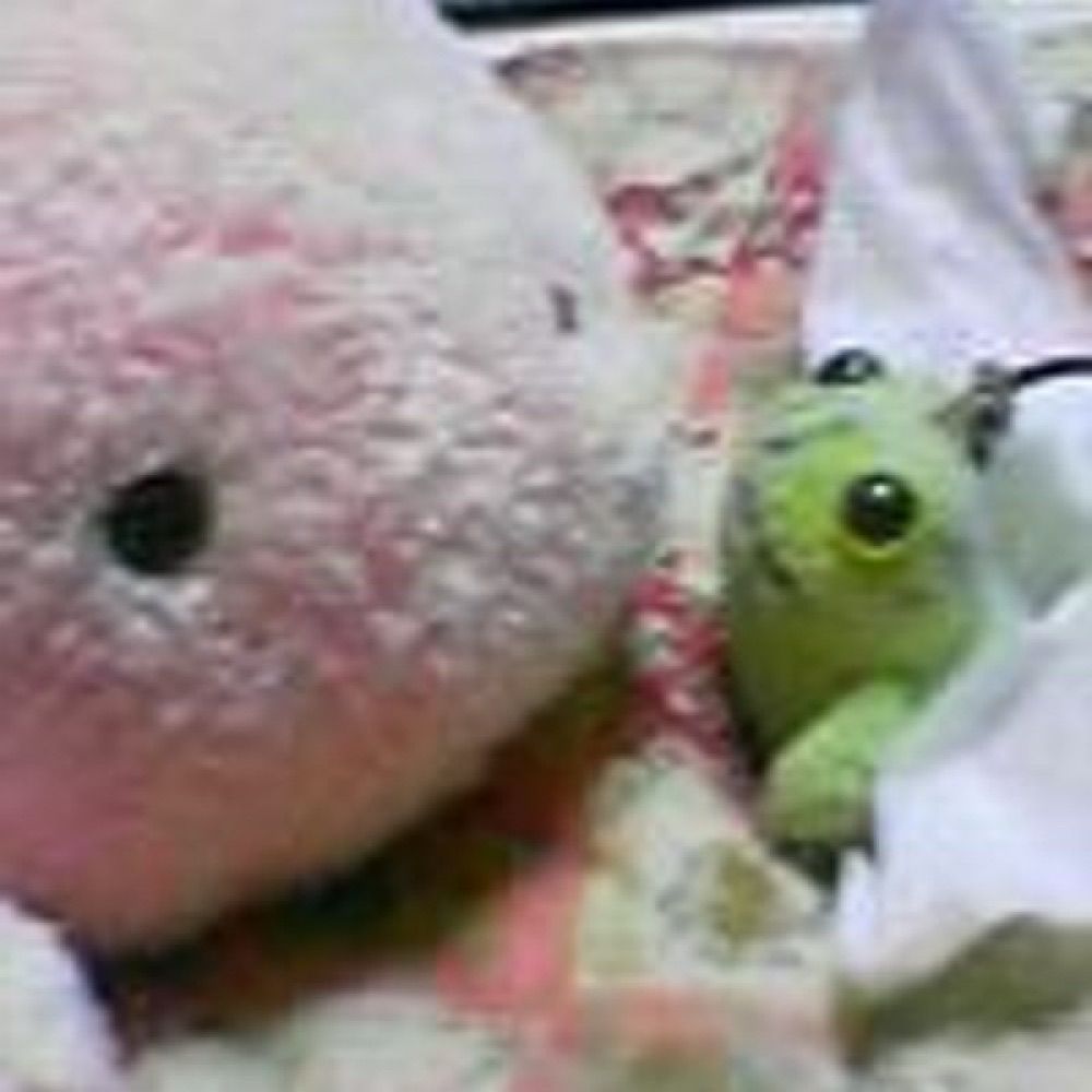 すもも
