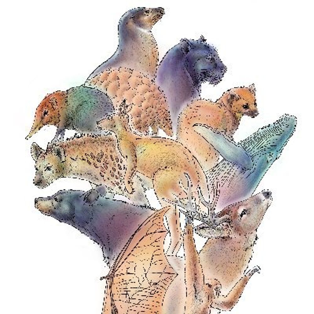 Black Mammalogists Week