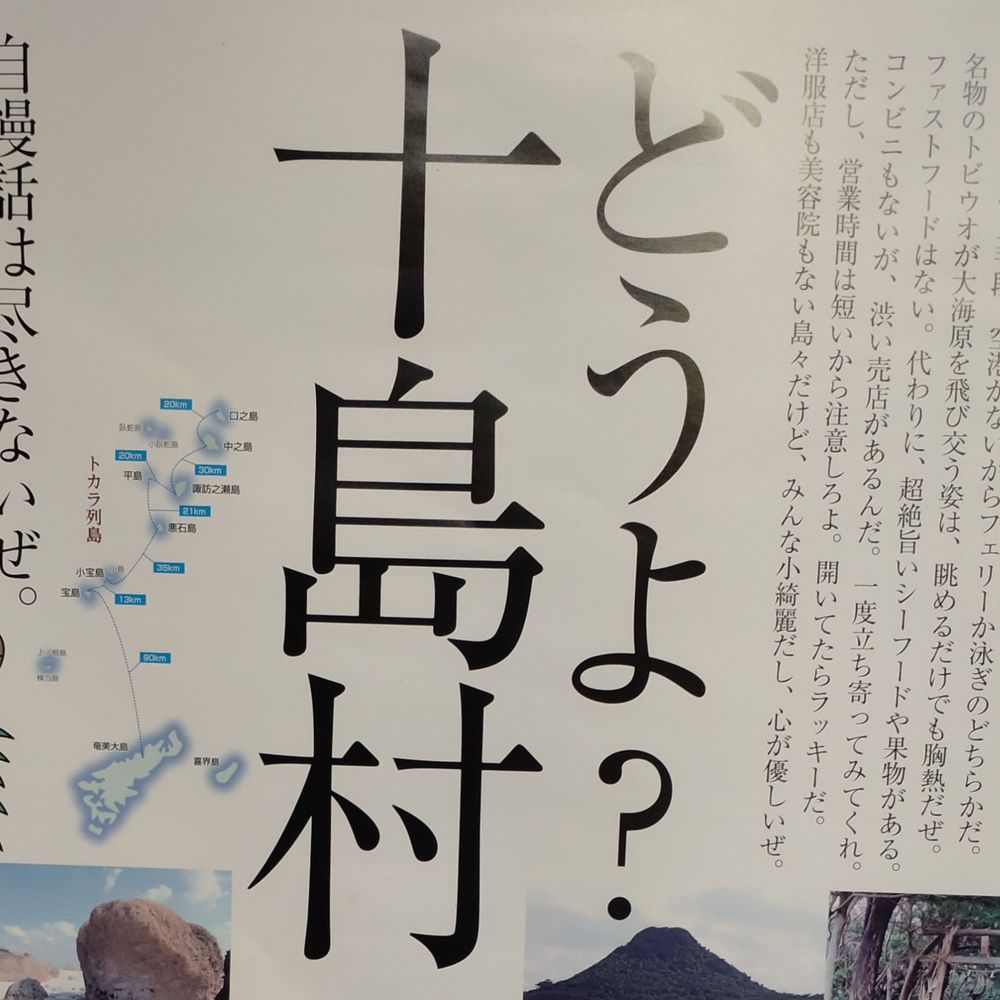 バイセコー