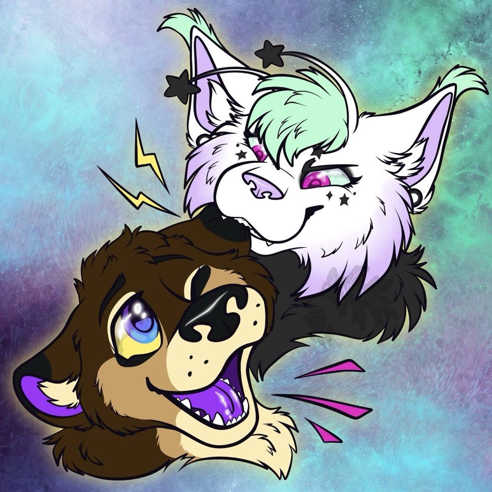 ✨ Neb ✨@MFF