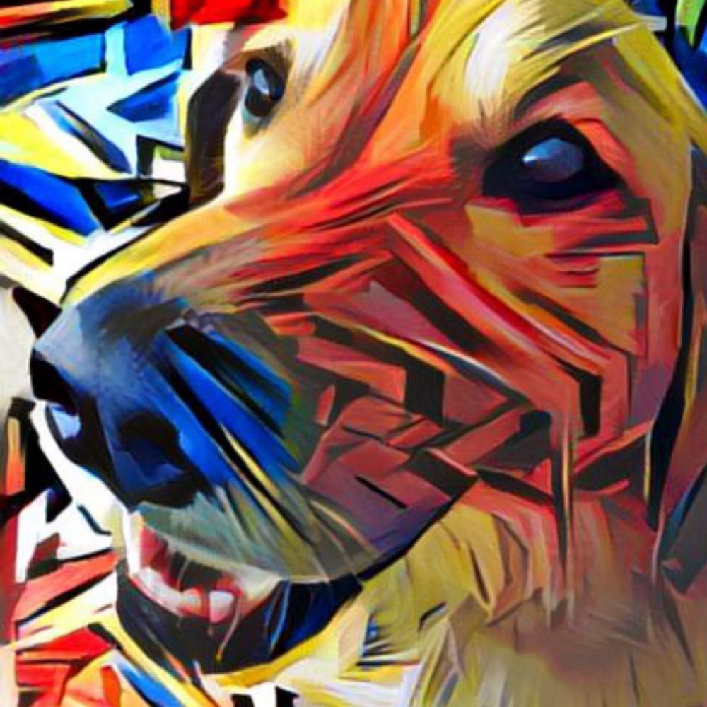 Profile avatar
