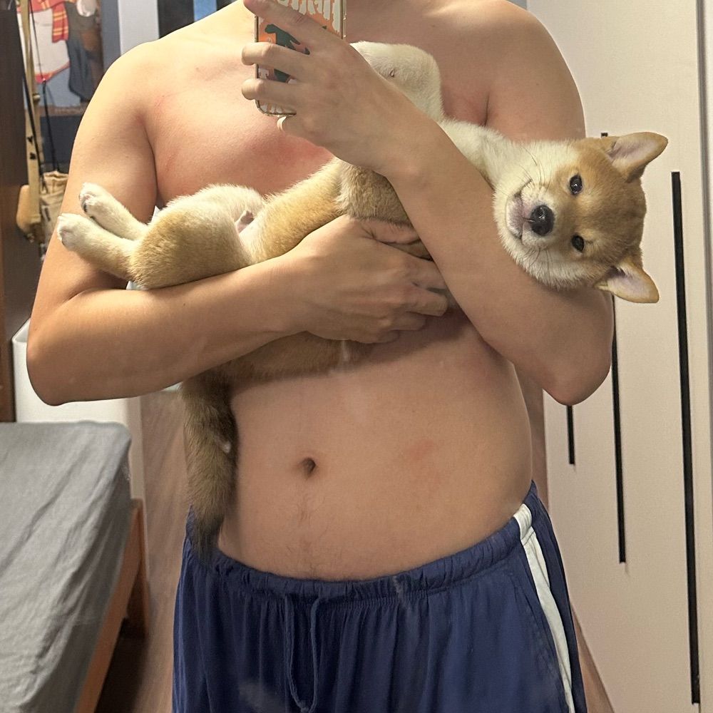 不吃鱼