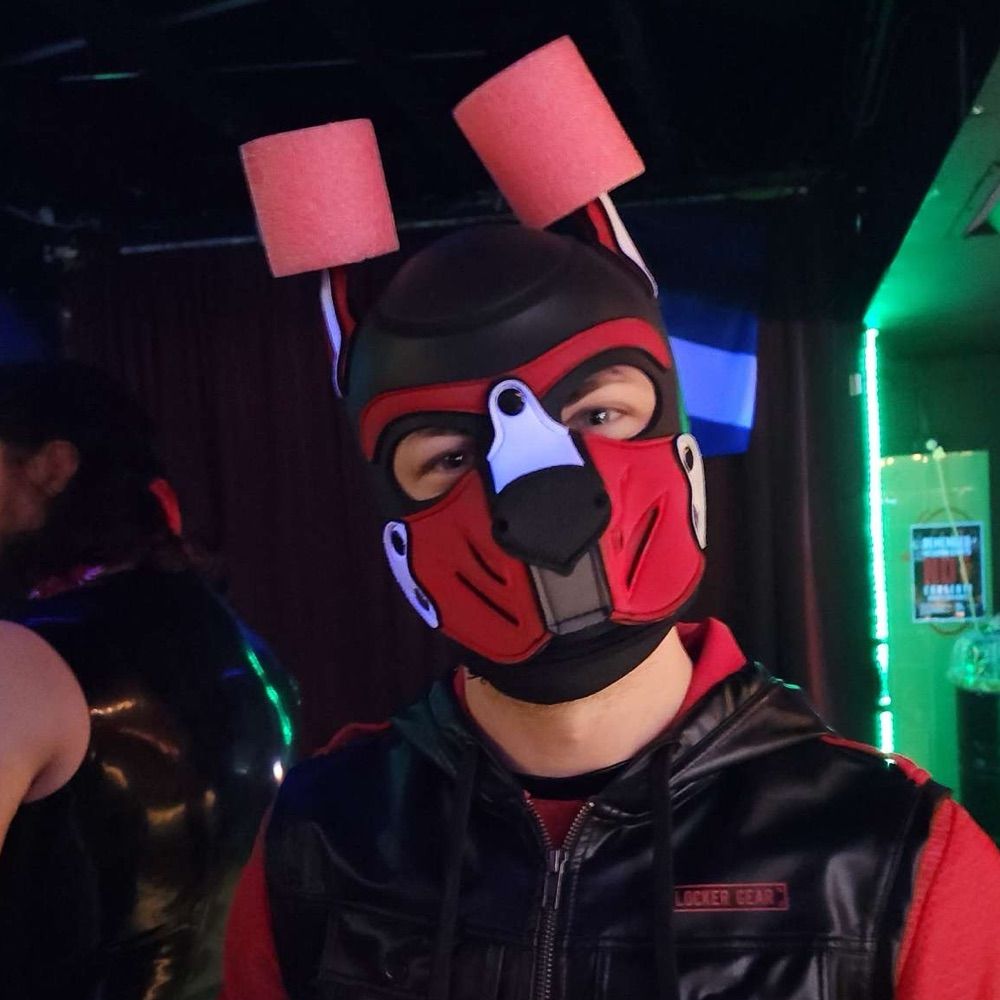 Pup Callisto (Cal)