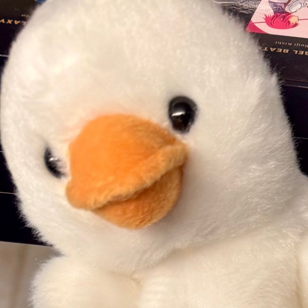 Gavin the Duck