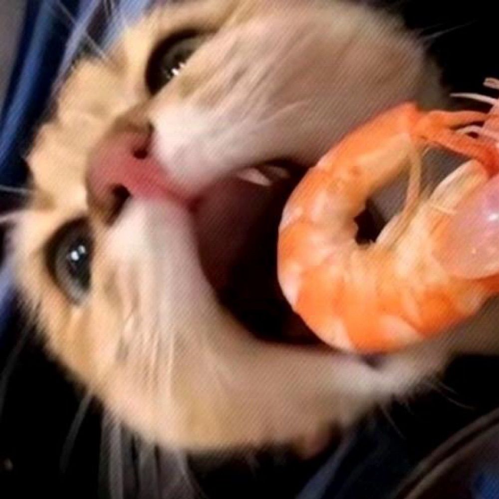 Aa摆烂王