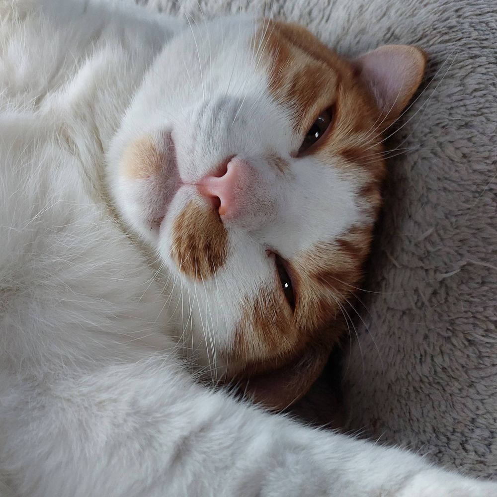 ズンベロ
