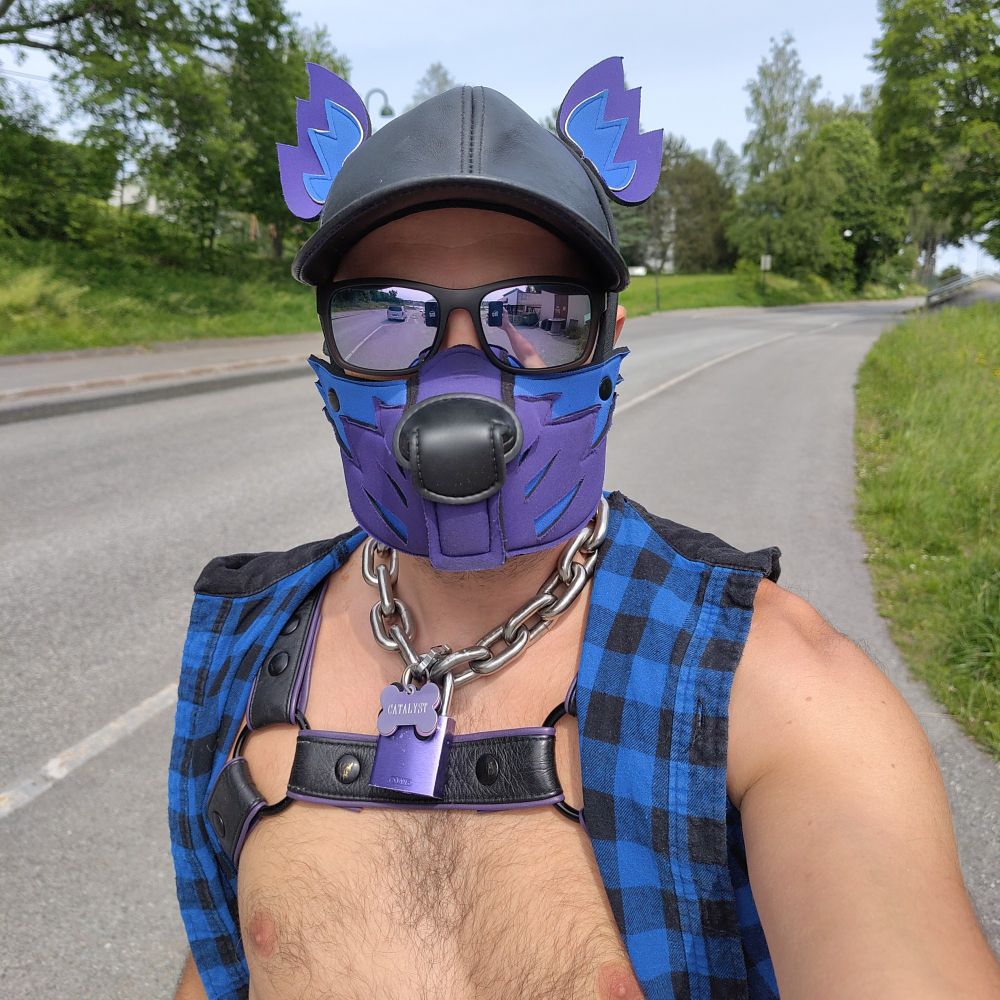Alpha Catalyst 🐶