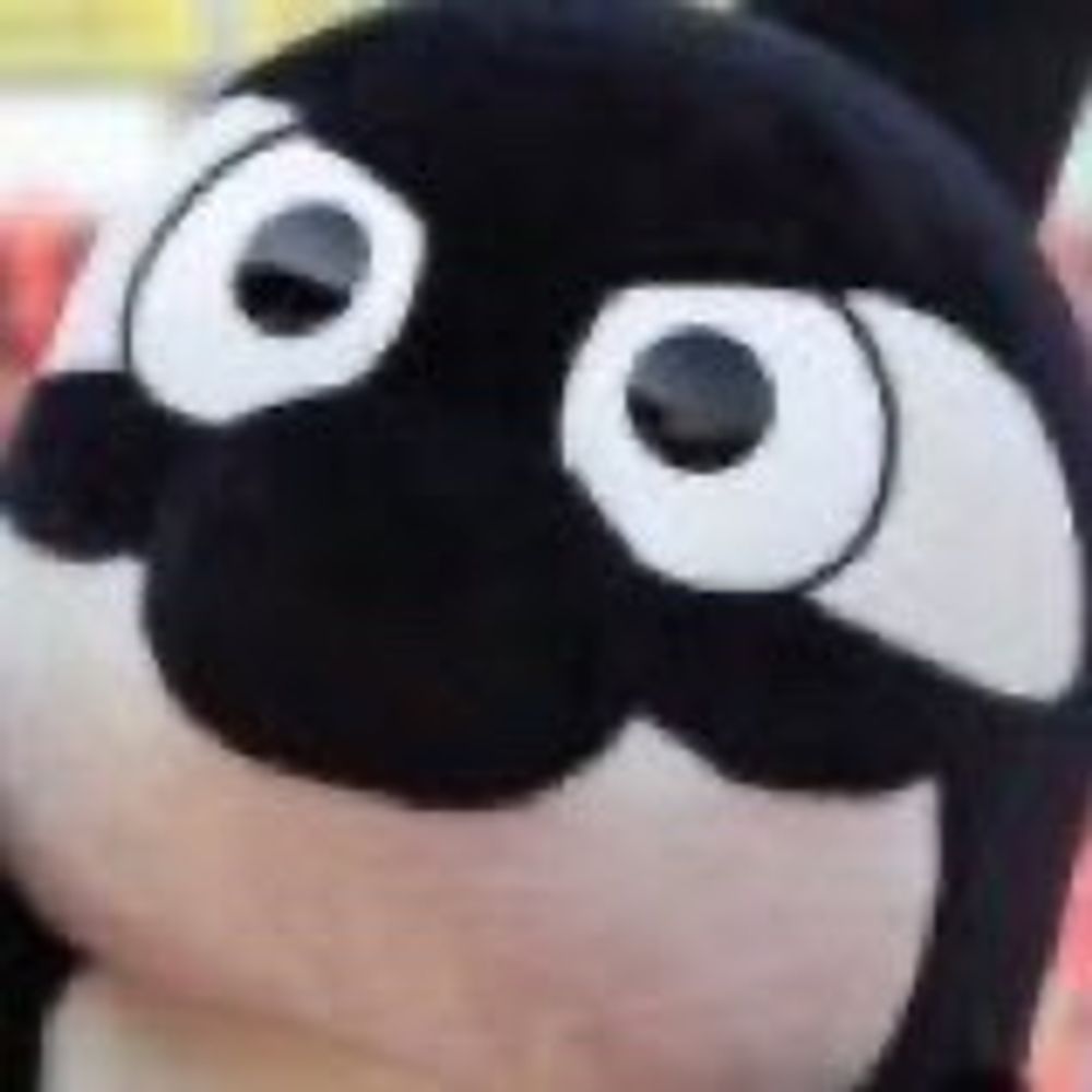 kotaro