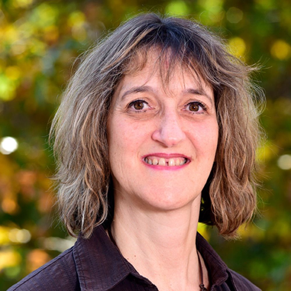 Paula Stein