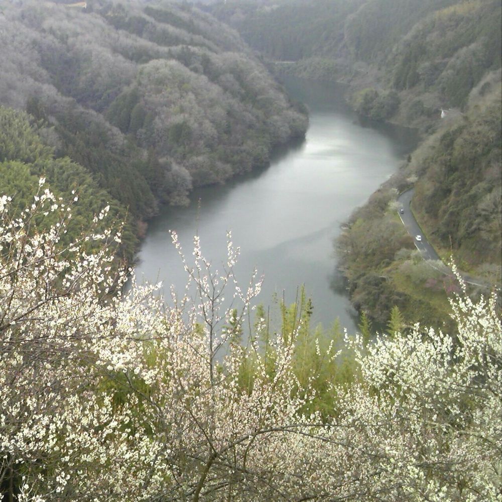 幸村