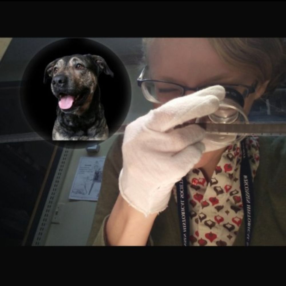 Archive Dog the Day/Jamie