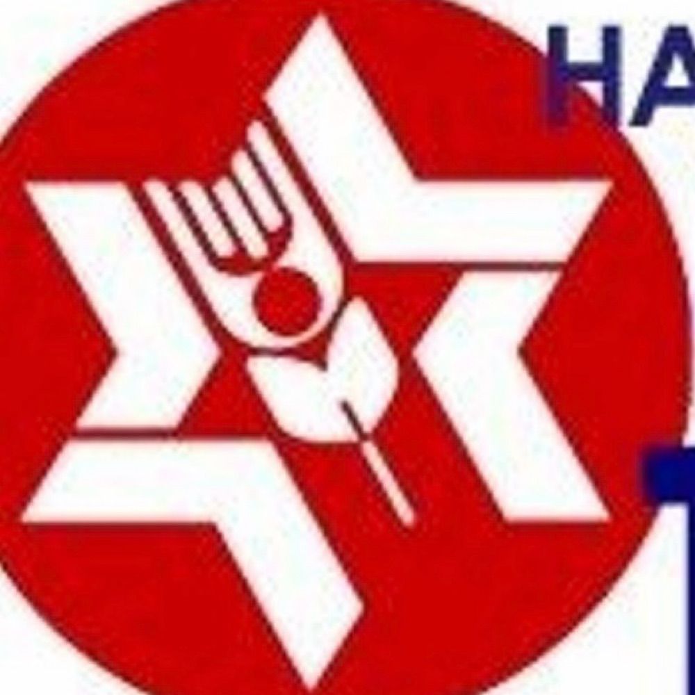 Habonim Dror Camp Tavor