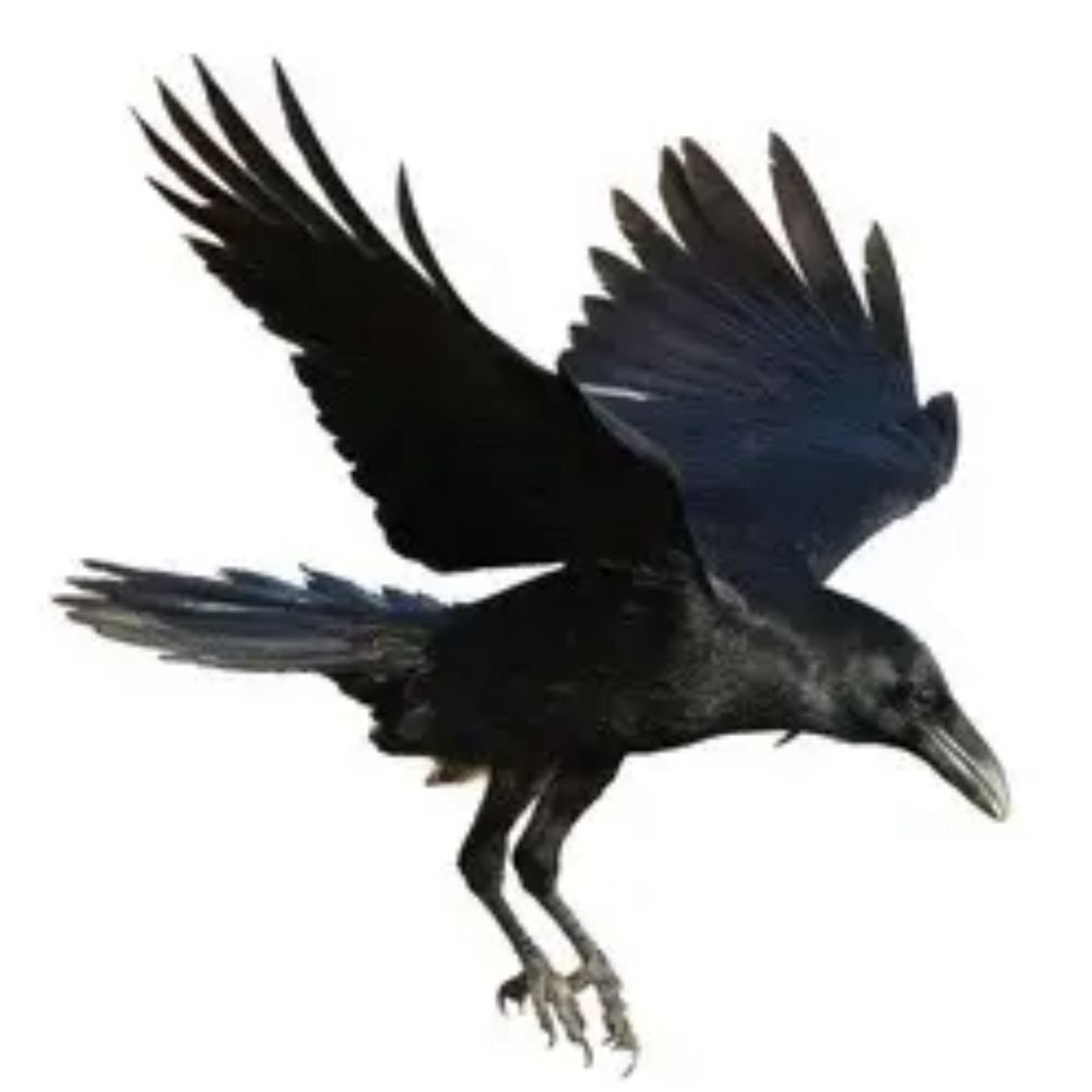 Huginn