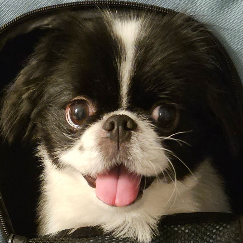Ben