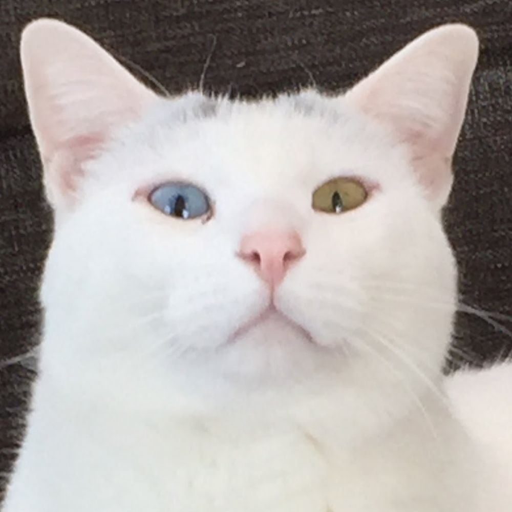 拾井セキ