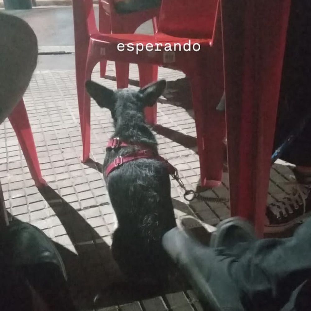 Sequela não natt